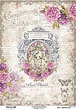 �� ���� �������' - DRESS MY CRAFT COMPLIMENTS OF THE SEASON