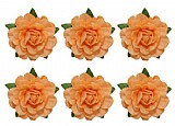 ��� ���� ���� �� TEA ROSE ���� ����