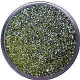 ���� ����� ������ ����� ������ MISTLETOE MAGIC