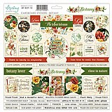 �� ������ �'������    MINTAY BOTANY 30X30 