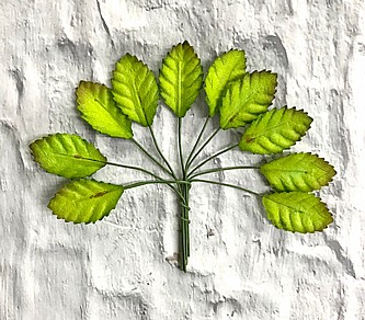 10 ���� ������ �����