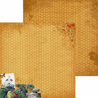 ��������     AUTUMN HARVEST  30X30