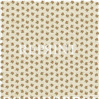 ��������      LADY OF SHALOTT  30X30 