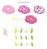 �� ����� �.����� ������� ������� -ALTENEW BUILD A FLOWER PEONY