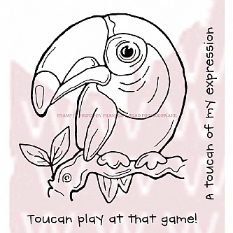 �� ������ ������ ����� - TOUCAN